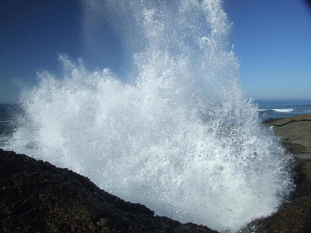 10247 Cabrillo Highway Pescadero, CA 94060