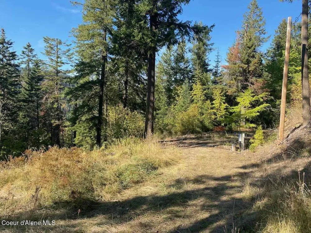 8713 E Waxwing Way St. Maries, ID 83861