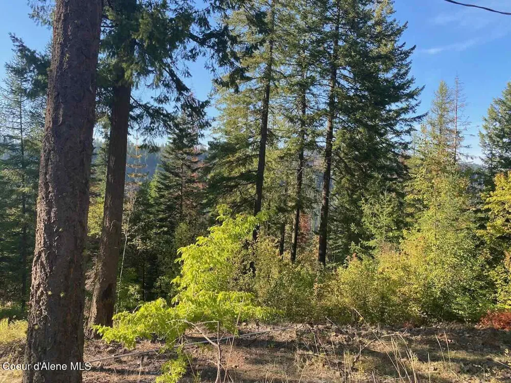 8713 E Waxwing Way St. Maries, ID 83861