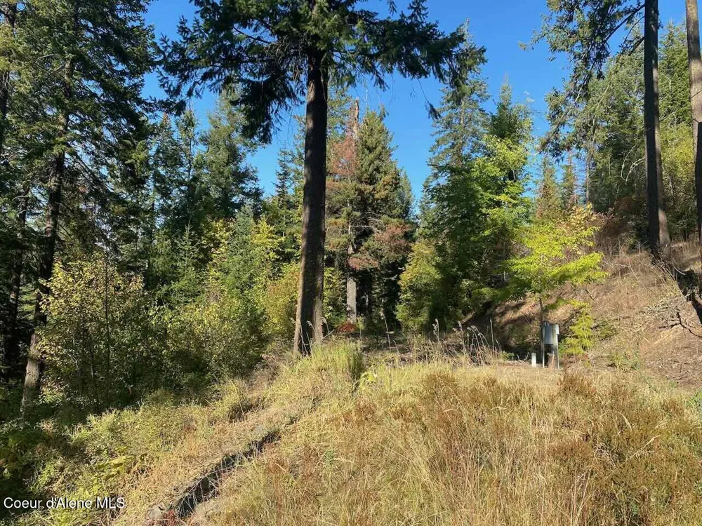8713 E Waxwing Way St. Maries, ID 83861