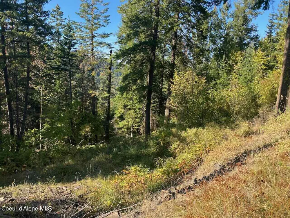 8713 E Waxwing Way St. Maries, ID 83861