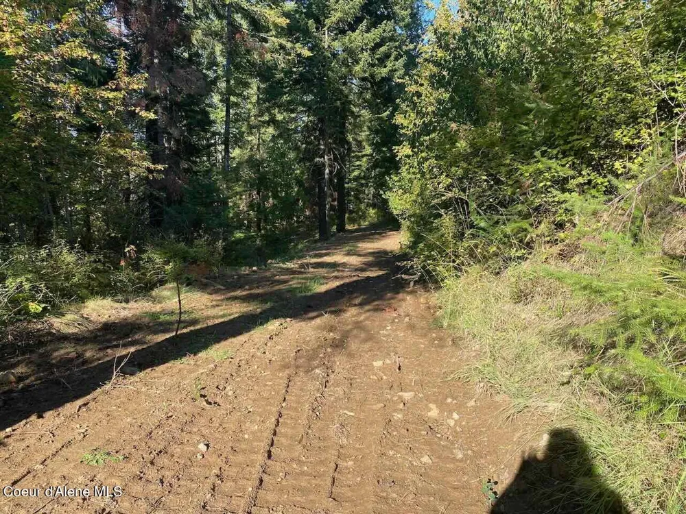 8713 E Waxwing Way St. Maries, ID 83861