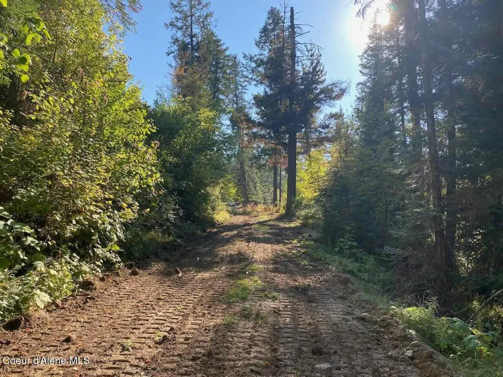 8713 E Waxwing Way St. Maries, ID 83861