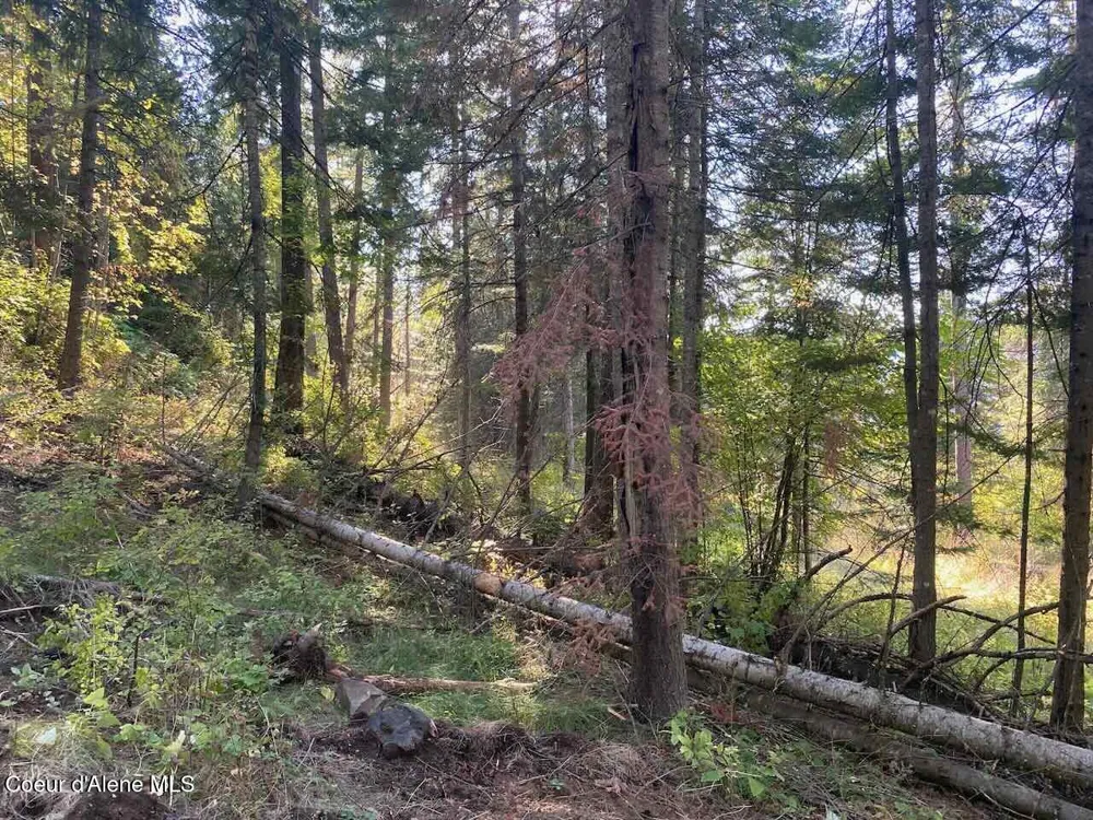 8713 E Waxwing Way St. Maries, ID 83861