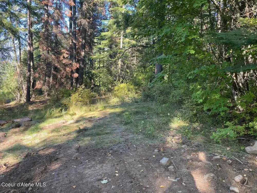 8713 E Waxwing Way St. Maries, ID 83861
