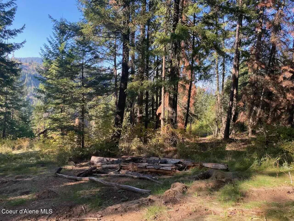 8713 E Waxwing Way St. Maries, ID 83861