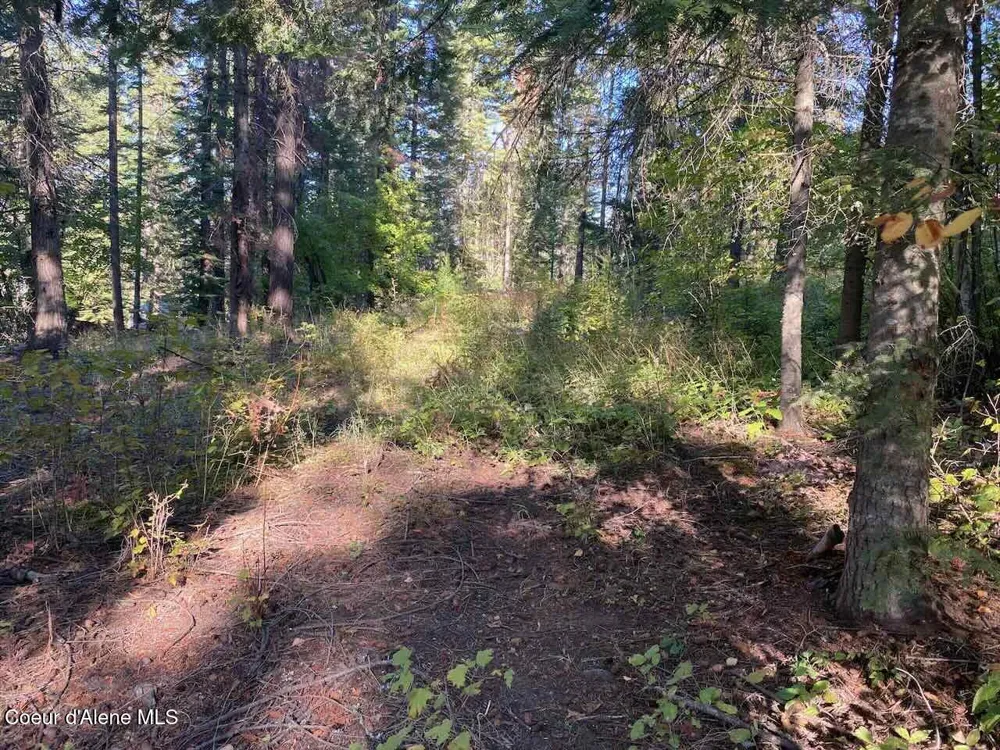 8713 E Waxwing Way St. Maries, ID 83861
