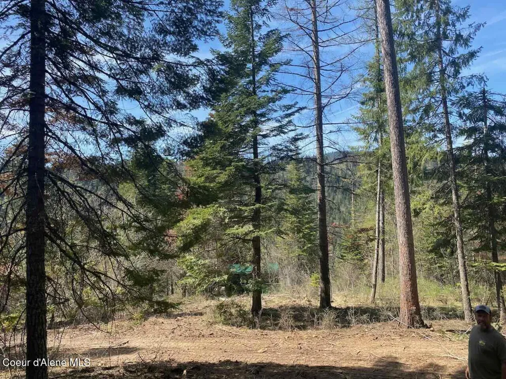 8713 E Waxwing Way St. Maries, ID 83861