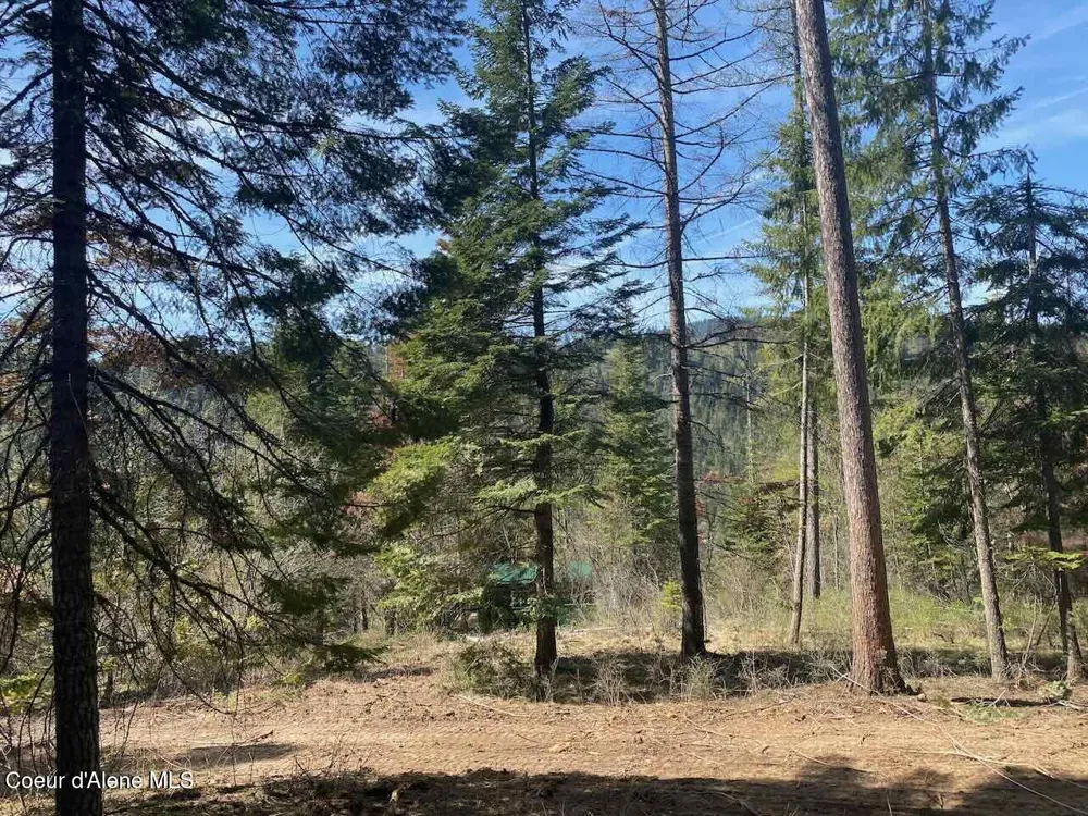 8713 E Waxwing Way St. Maries, ID 83861