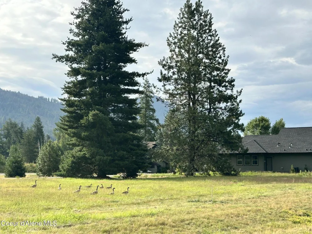 NNA Marie Victoria Court Sandpoint, ID 83864