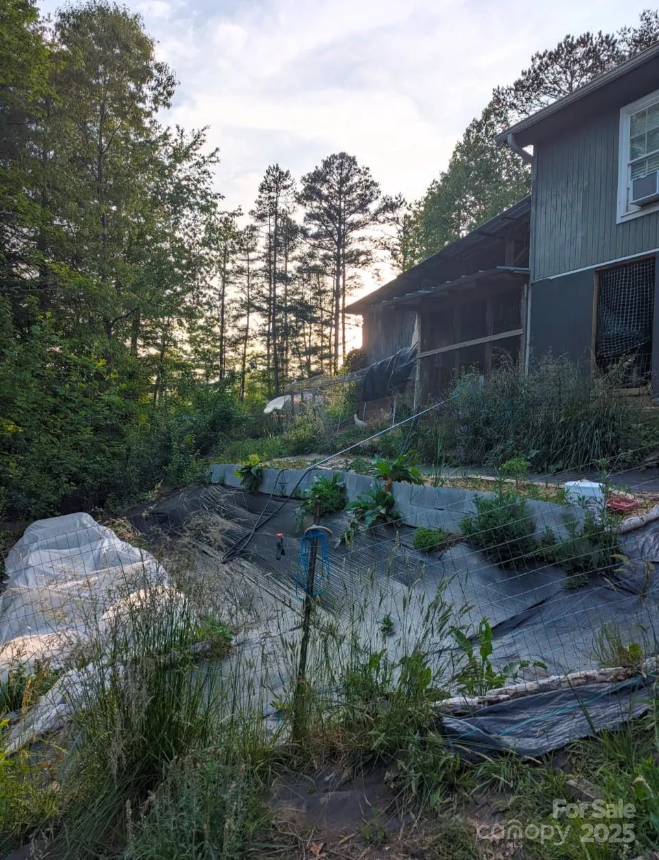 6 Sunrise Valley Leicester, NC 28748