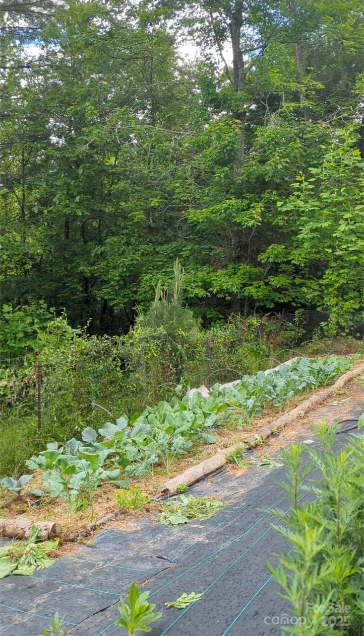 6 Sunrise Valley Leicester, NC 28748