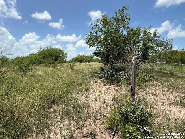 TBD 10+/- ACRES CR 158 Kenedy, TX 78119