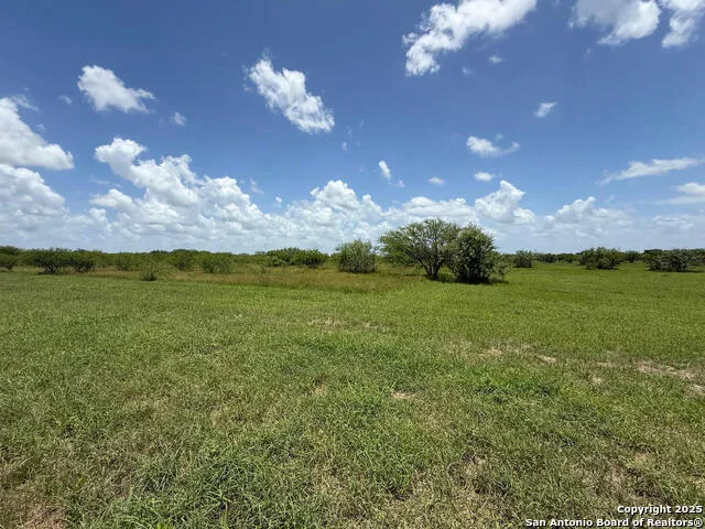 TBD 10+/- ACRES CR 158 Kenedy, TX 78119