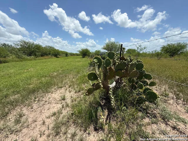 TBD 10+/- ACRES CR 158 Kenedy, TX 78119