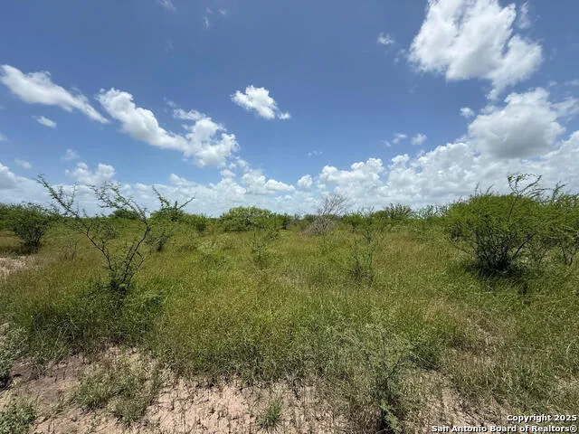 TBD 10+/- ACRES CR 158 Kenedy, TX 78119