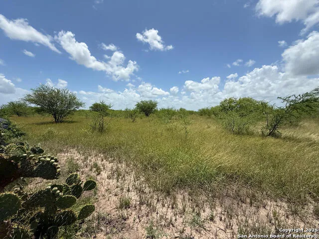 TBD 10+/- ACRES CR 158 Kenedy, TX 78119