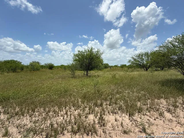 TBD 10+/- ACRES CR 158 Kenedy, TX 78119