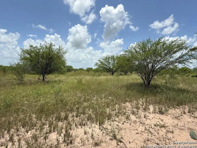 TBD 10+/- ACRES CR 158 Kenedy, TX 78119
