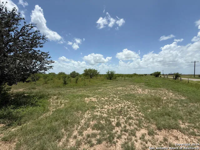 TBD 10+/- ACRES CR 158 Kenedy, TX 78119