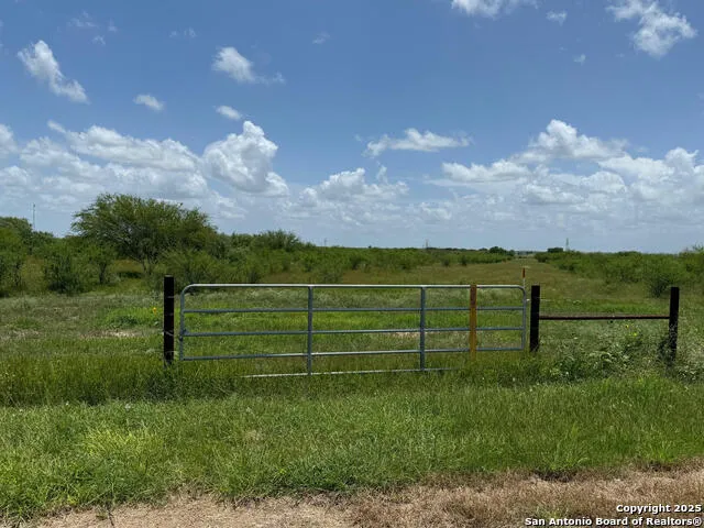 TBD 10+/- ACRES CR 158 Kenedy, TX 78119