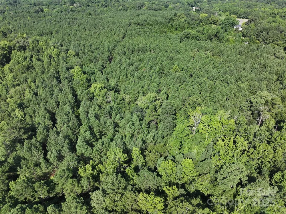 000 CHESTERFIELD ROAD Wadesboro, NC 28170