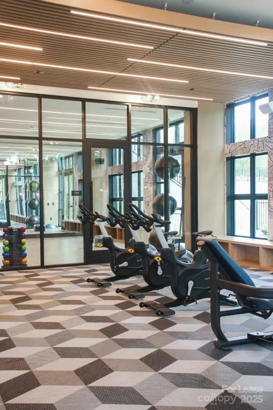 9132 Senator Royall Drive #B1 Charlotte, NC 28262