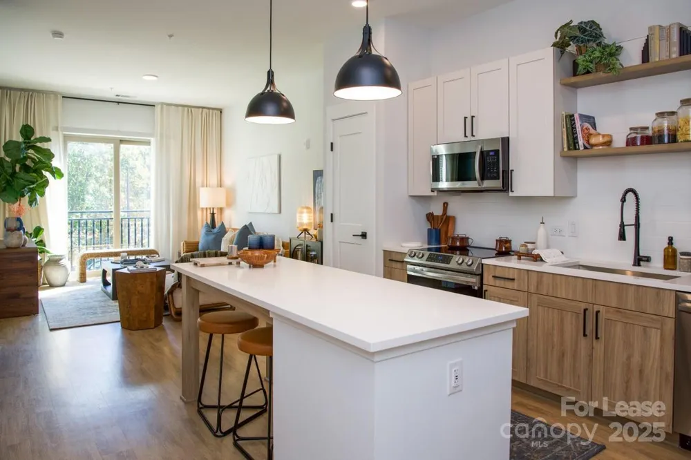9132 Senator Royall Drive #B1 Charlotte, NC 28262