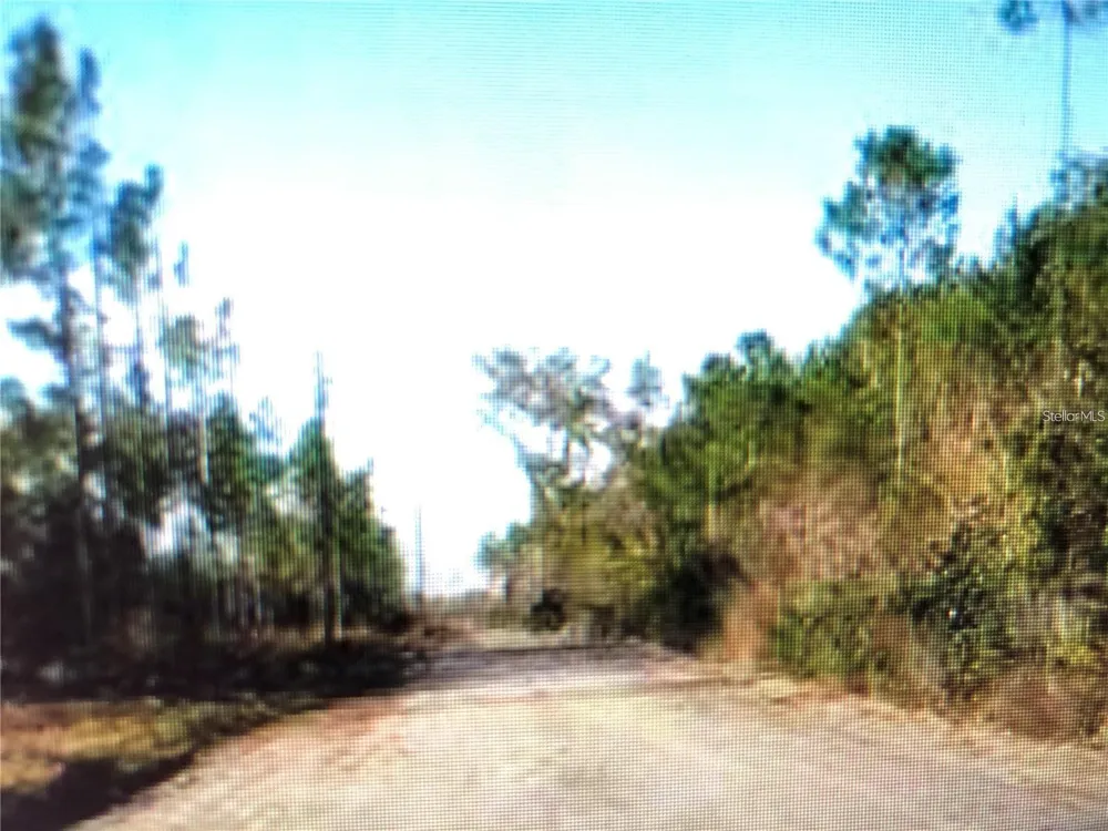 35 Acres MADISON MAIN LINE Perry, FL 32347