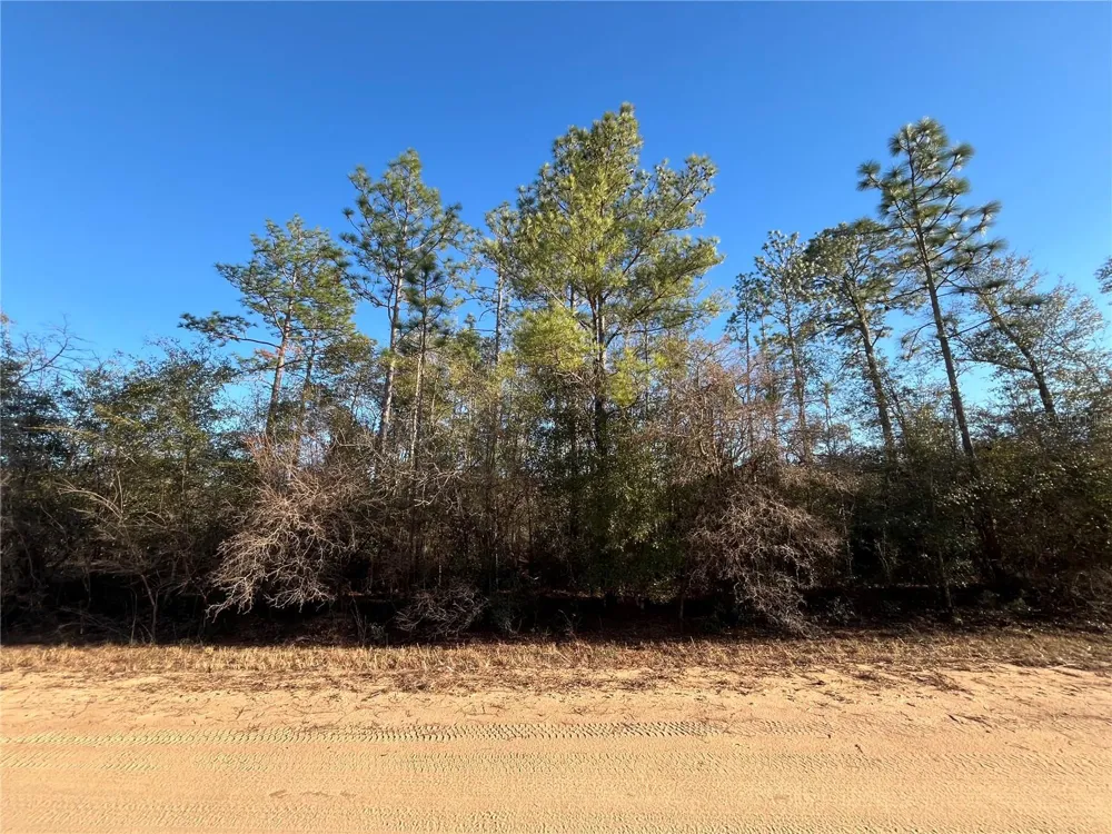 GOREVILLE AVENUE Alford, FL 32420