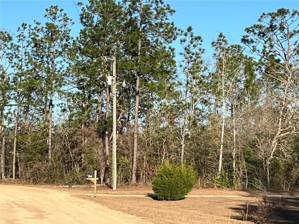 GOREVILLE AVENUE Alford, FL 32420