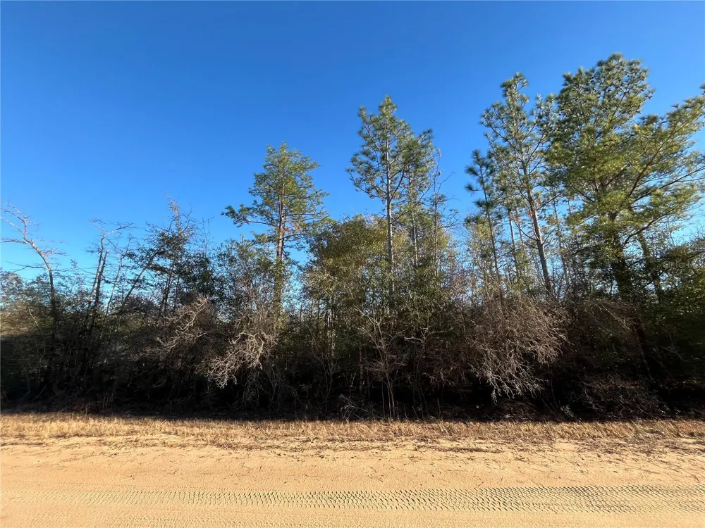 GOREVILLE AVENUE Alford, FL 32420