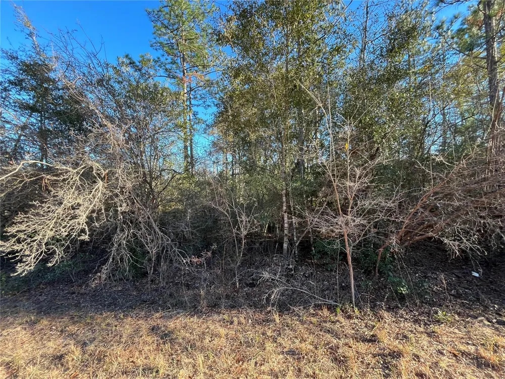 GOREVILLE AVENUE Alford, FL 32420