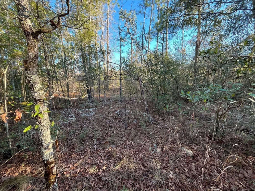 GOREVILLE AVENUE Alford, FL 32420