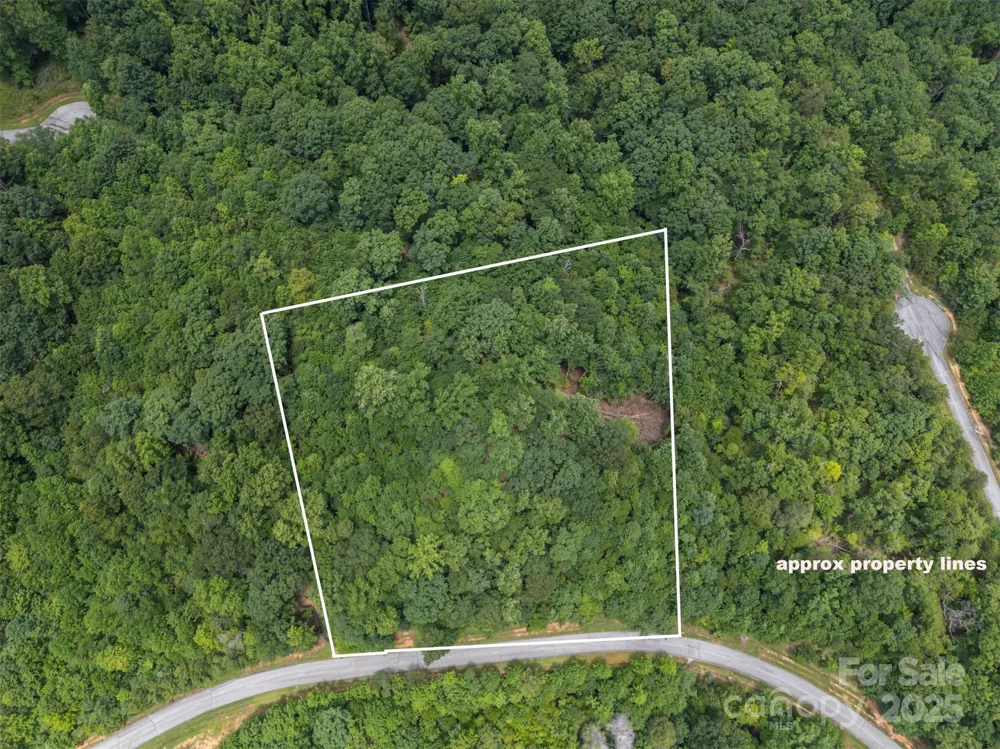 000 Deep Gap Farm Road E Mill Spring, NC 28756