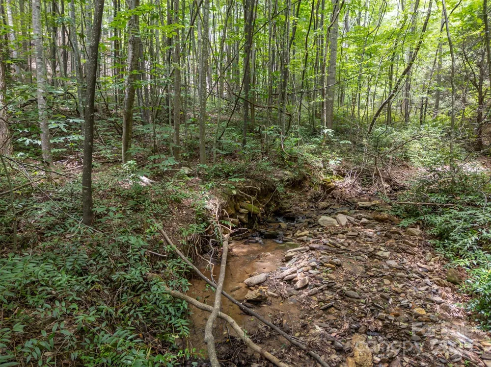 000 Deep Gap Farm Road E Mill Spring, NC 28756