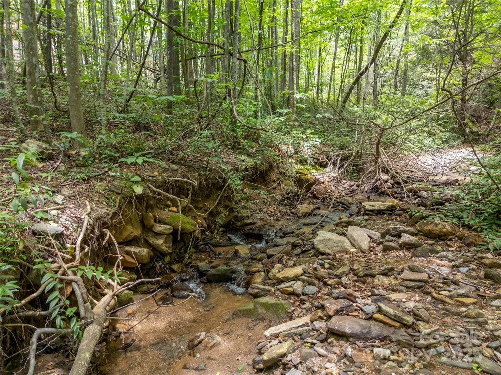 000 Deep Gap Farm Road E Mill Spring, NC 28756