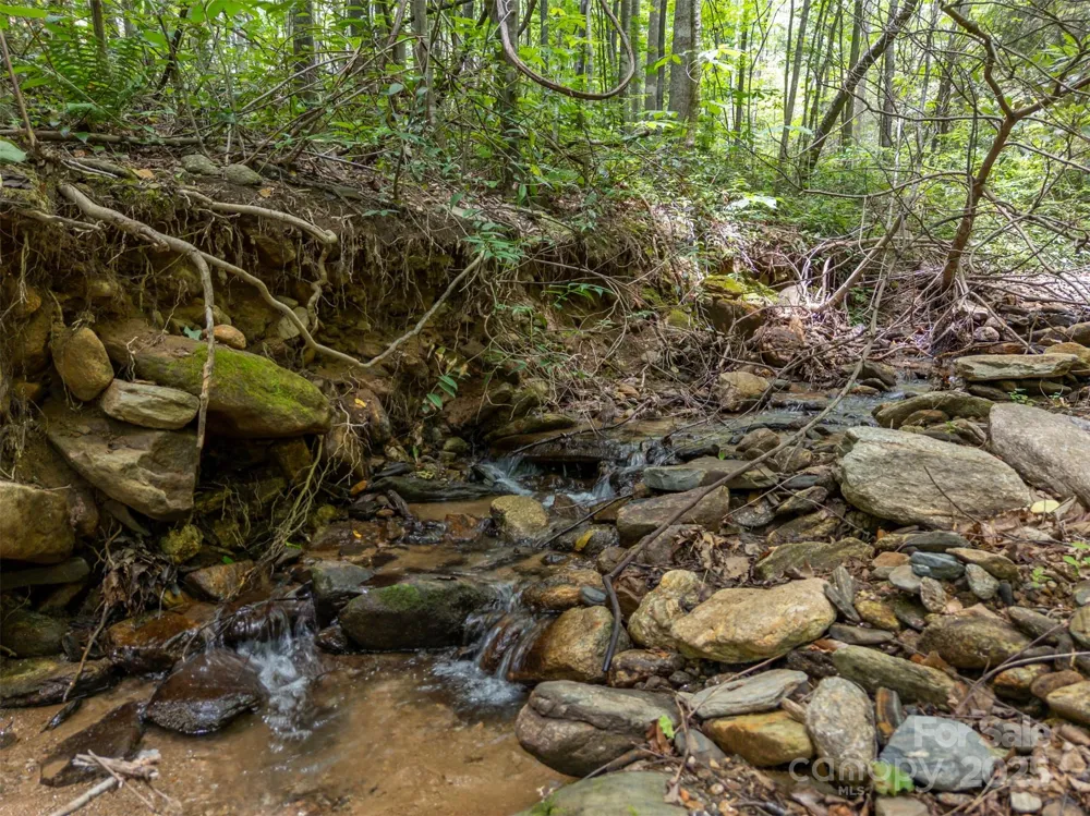 000 Deep Gap Farm Road E Mill Spring, NC 28756