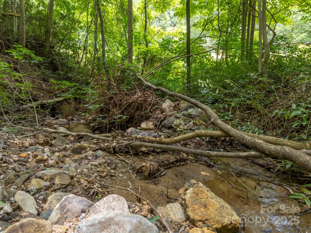 000 Deep Gap Farm Road E Mill Spring, NC 28756