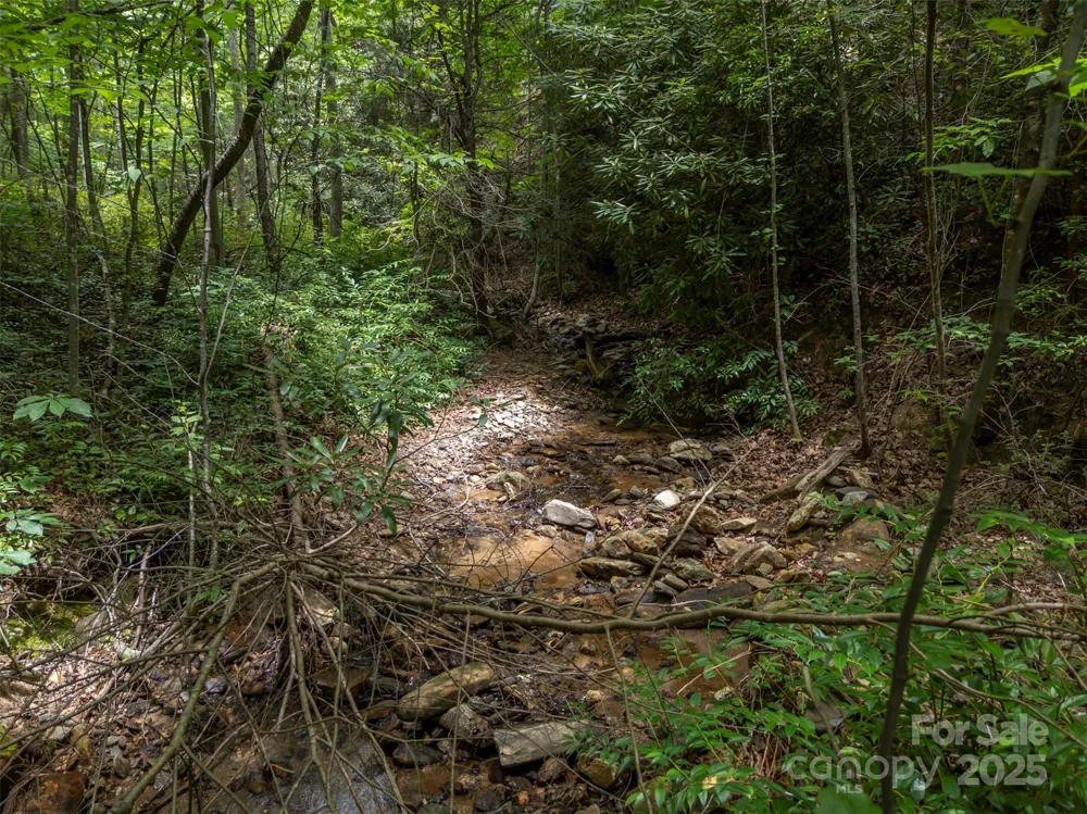000 Deep Gap Farm Road E Mill Spring, NC 28756