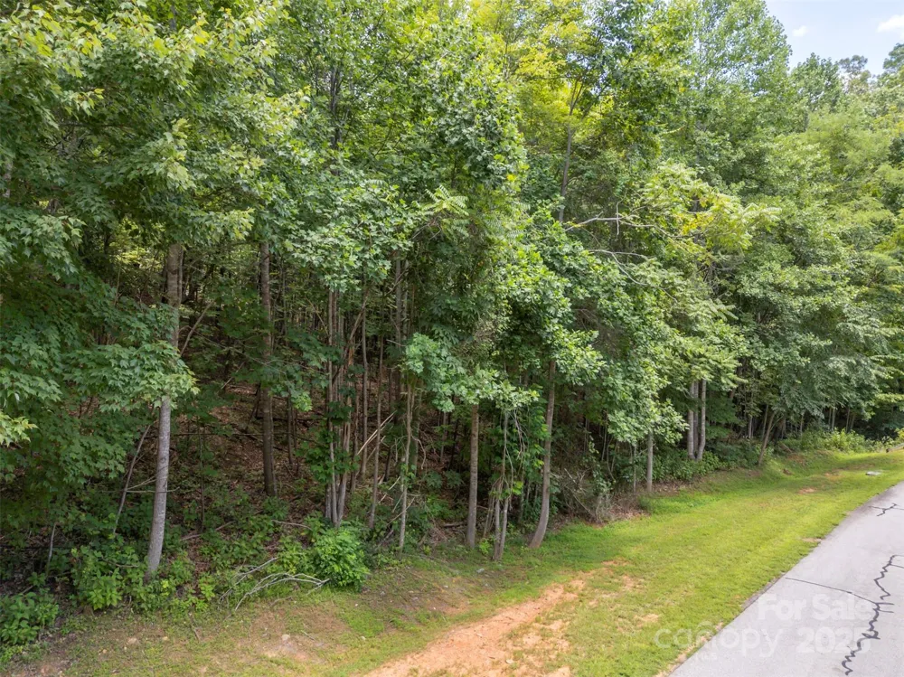 000 Deep Gap Farm Road E Mill Spring, NC 28756