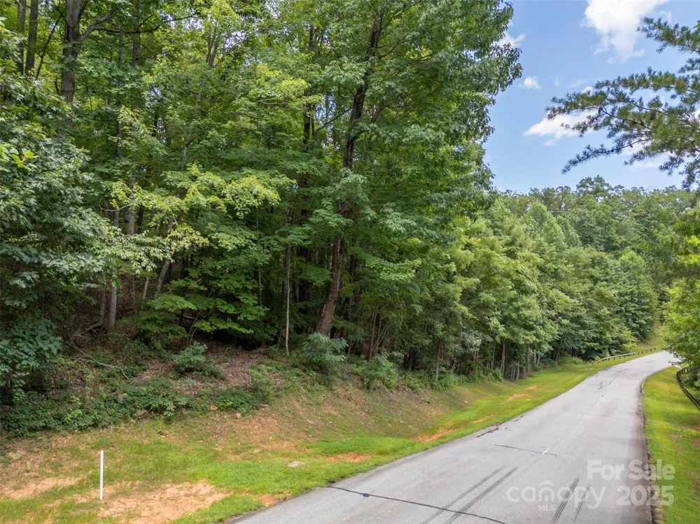 000 Deep Gap Farm Road E Mill Spring, NC 28756