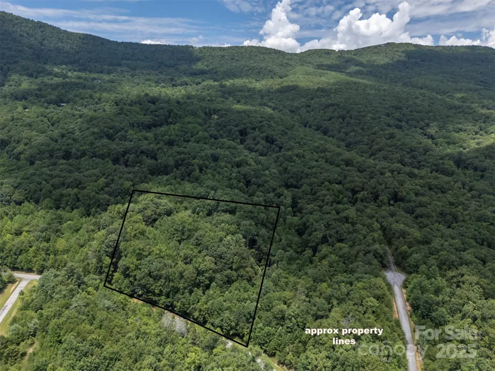 000 Deep Gap Farm Road E Mill Spring, NC 28756
