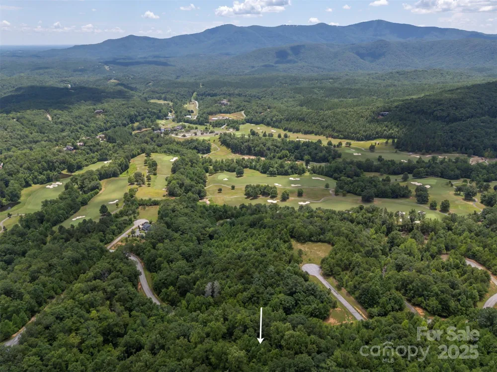 000 Deep Gap Farm Road E Mill Spring, NC 28756