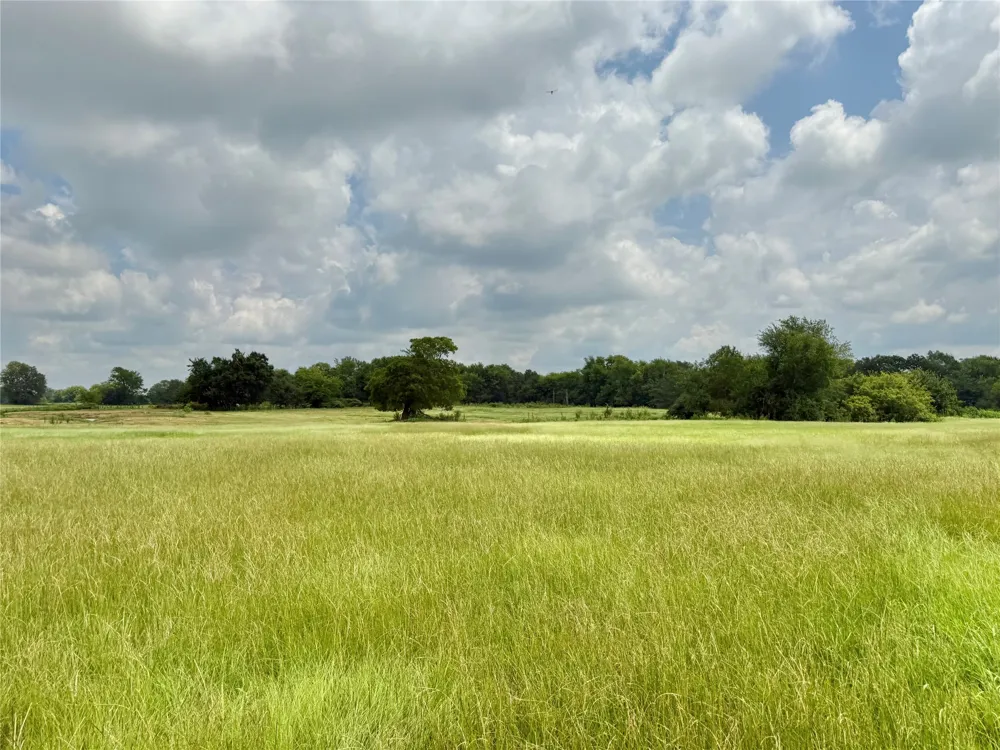 County Road 2321 Sulphur Springs, TX 75482