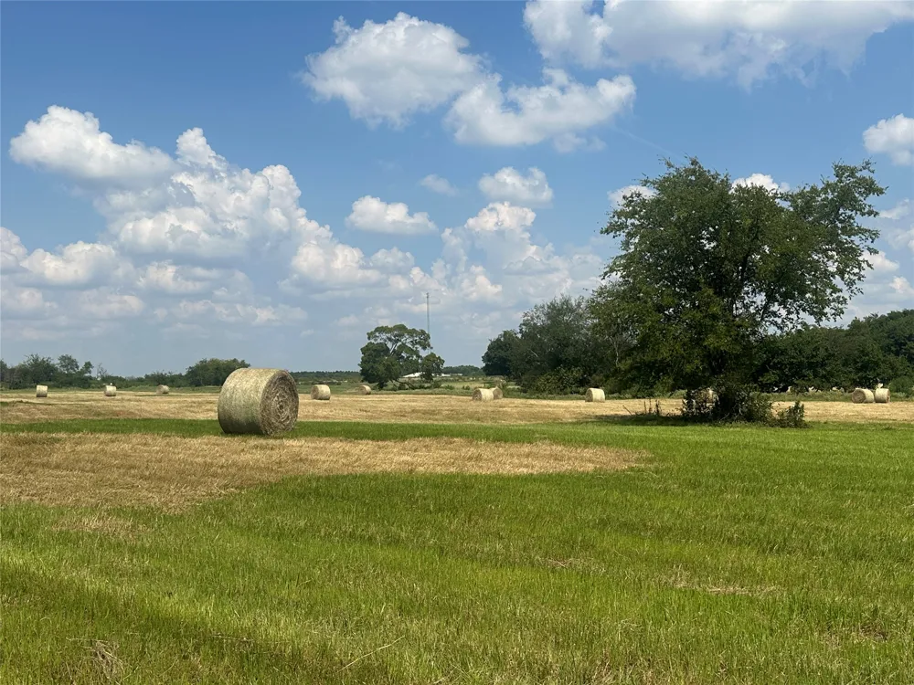 County Road 2321 Sulphur Springs, TX 75482