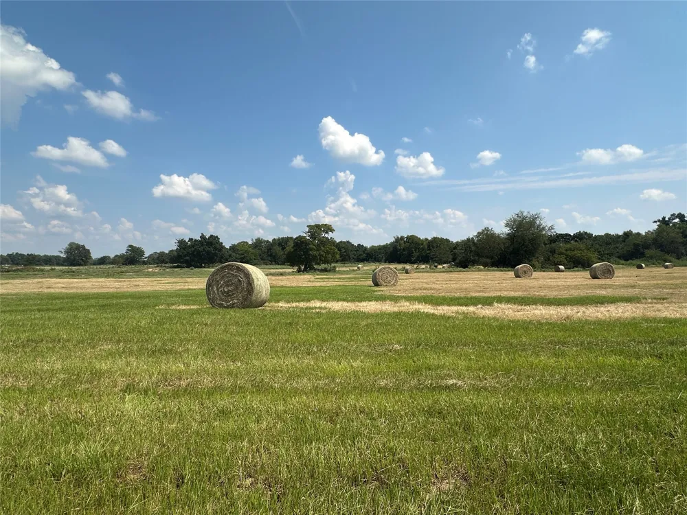County Road 2321 Sulphur Springs, TX 75482