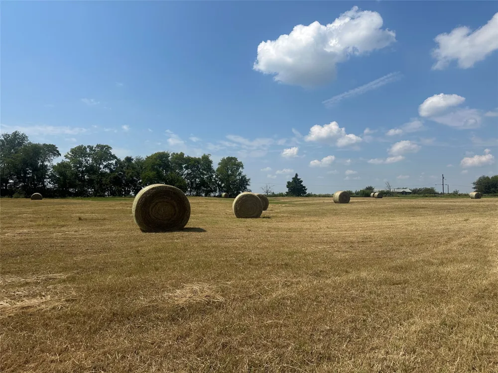 County Road 2321 Sulphur Springs, TX 75482