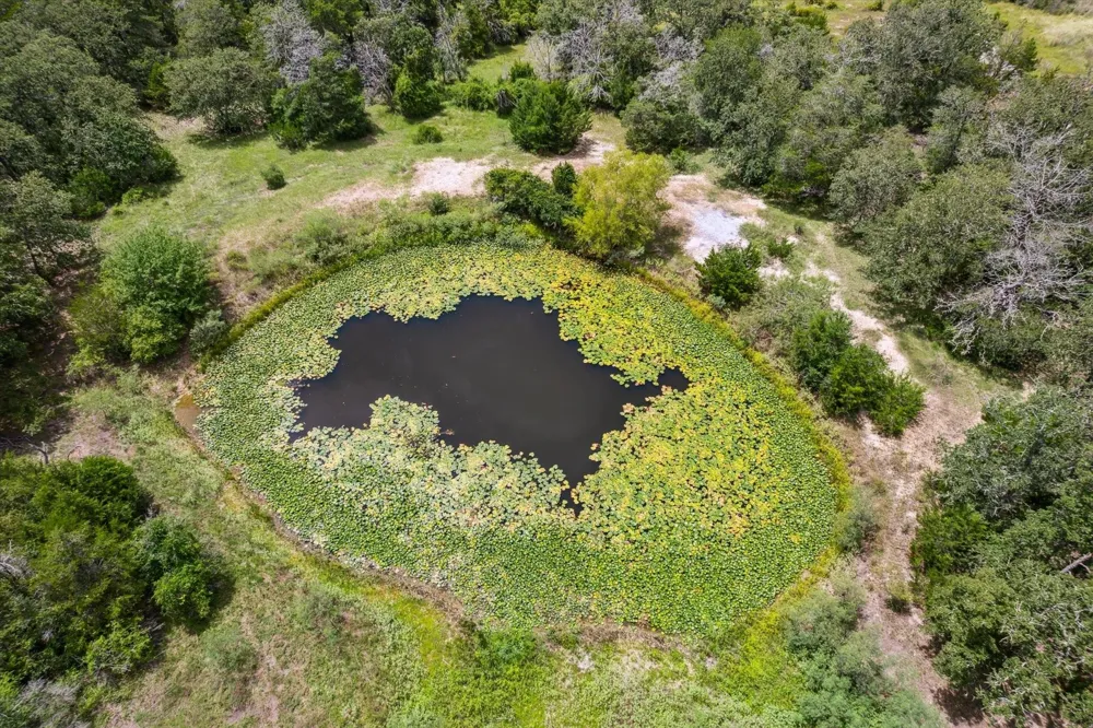1434 County Road 139 Giddings, TX 78942