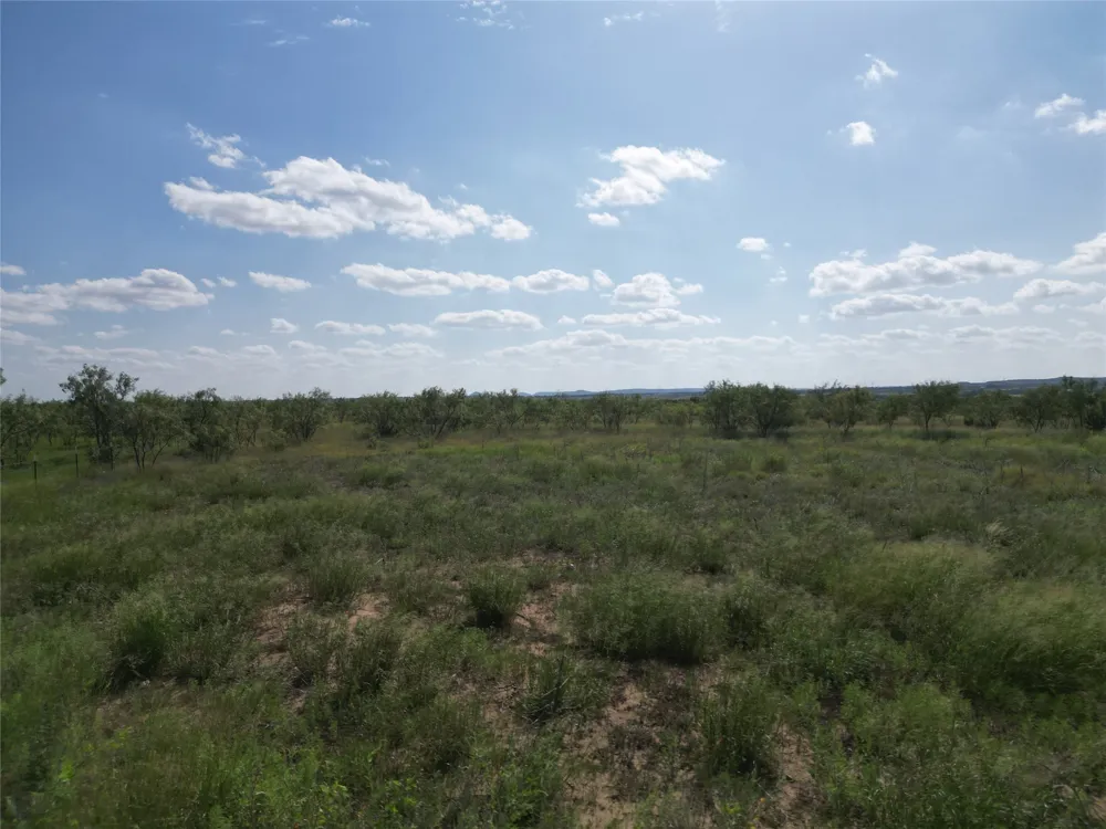 CR 212 Wingate, TX 79566